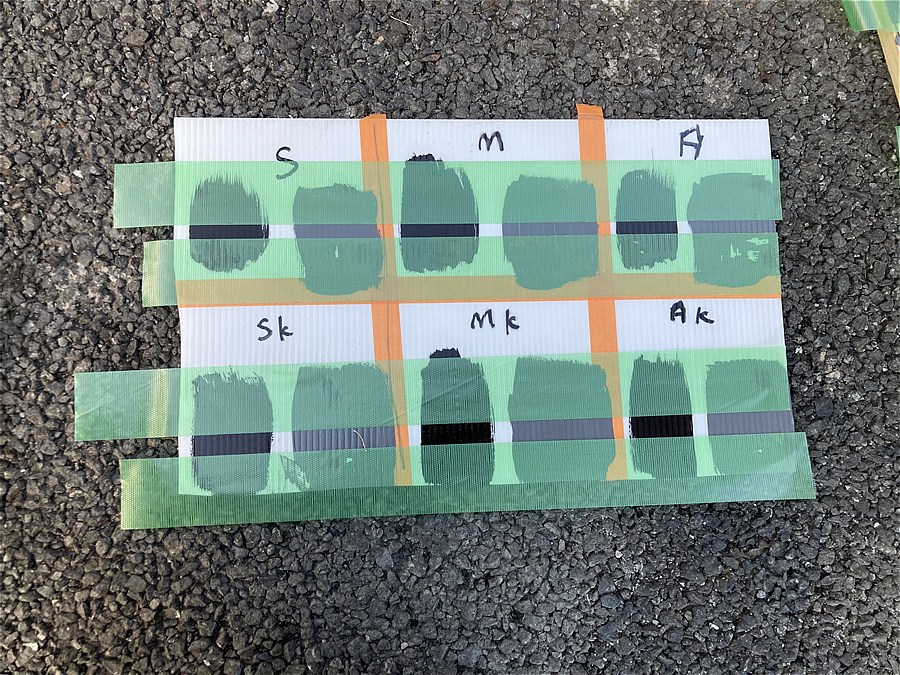 プラべニアへの塗装の試験体：パイオランテープ