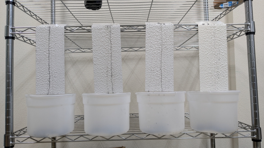 カーボン分散液を用いた低汚染塗料テスト