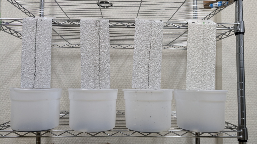 カーボン分散液を用いた低汚染塗料テスト