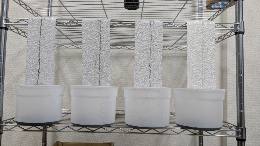 カーボン分散液を用いた低汚染塗料テスト