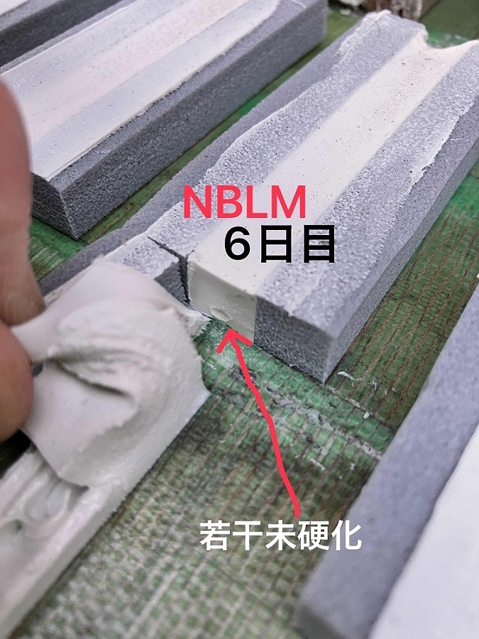 シーリング硬化後「シャーピー　ヘンセイシリコーン NB-LM」シャープ化学工業：6日