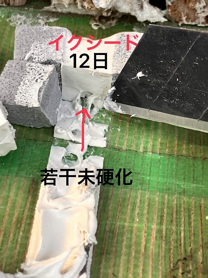 シーリング硬化後「オートン イクシード」オート化学工業：12日