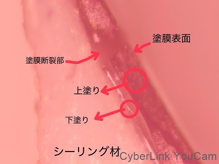 シーリングの上の塗装を顕微鏡で拡大